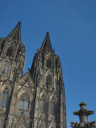 Foto Kreuzblume vor Kölner Dom