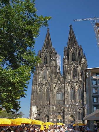 Fotos gelbe Sonnenschirme vor Kölner Dom | Köln