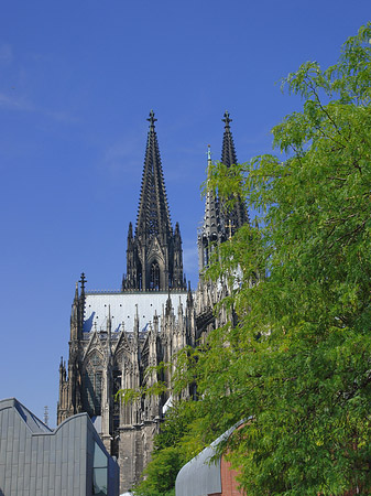 Foto Türme des Kölner Doms - Köln