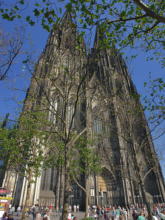 Fotos Westfassade des Kölner Doms | Köln