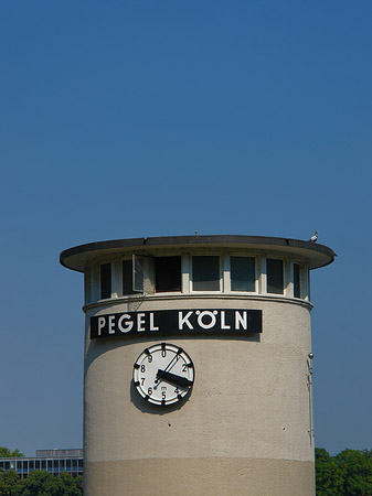 Foto Pegel Köln