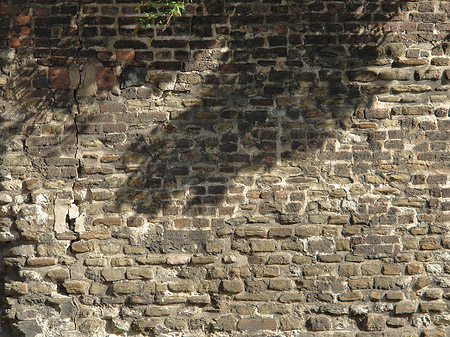 Burgmauer Foto 