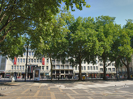 Neumarkt