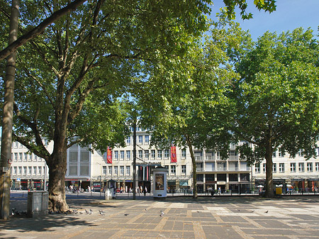 Neumarkt Foto 
