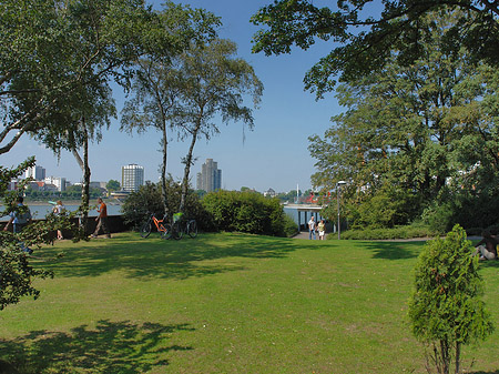 Fotos Rheinpark | Köln