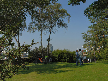 Fotos Rheinpark | Köln