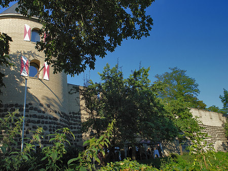 Sachsenturm hinter Busch Foto 