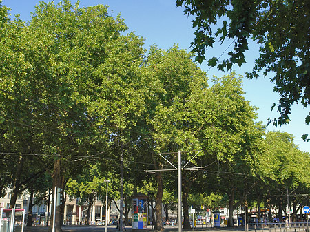 Fotos St-Apern-Straße | Köln