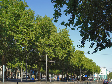 Fotos St-Apern-Straße | Köln