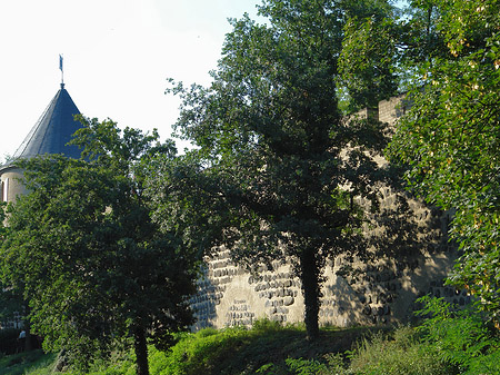 Foto Stadtmauer und Sachsenturm am Sachsenring