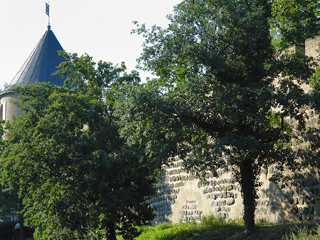 Stadtmauer und Sachsenturm am Sachsenring