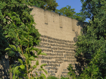 Fotos Stadtmauer am Sachsenring