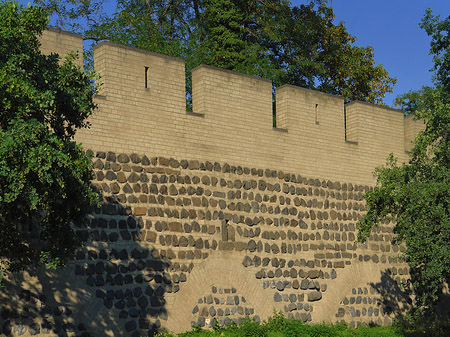 Stadtmauer am Sachsenring Foto 