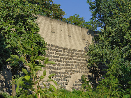Fotos Stadtmauer am Sachsenring