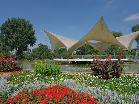 Tanzbrunnen im Rheinpark Foto 